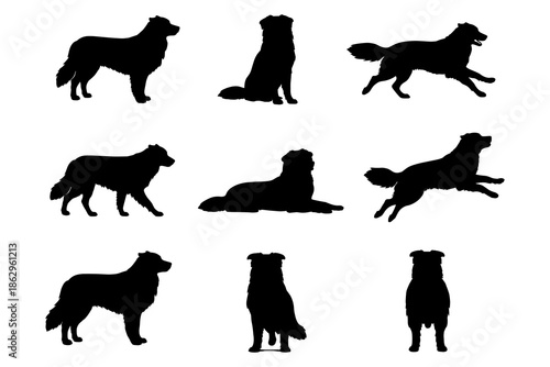 Collie dog silhouettes in various poses set against a white background