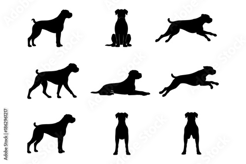 Boxer dog silhouettes in various poses: standing, running, sitting, playful