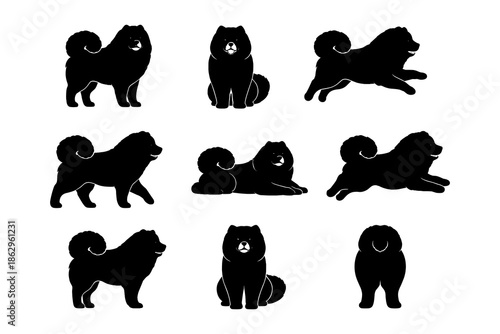 Chow chow dog silhouettes collection in various poses