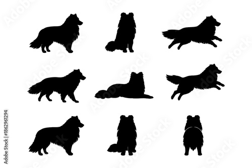 Sheepdog silhouettes collection: graceful canine poses on white background
