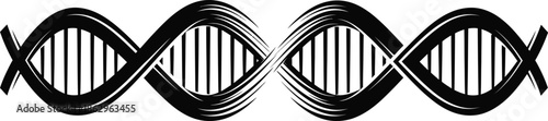 two intertwining spiral lines forming a dna silhouette on white background