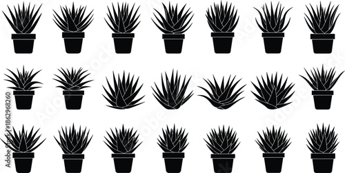 succulent cactus agave plant botanical silhouette vector icon potted minimal black modern illustration decorative collection isolated design background