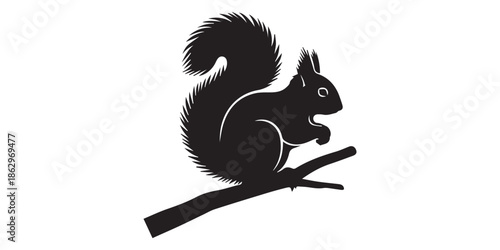 A collection of black squirrel silhouettes in various dynamic and static poses, isolated on a transparent background. Cute cartoon vector illustration of a black squirrel silhouette with a nut on a