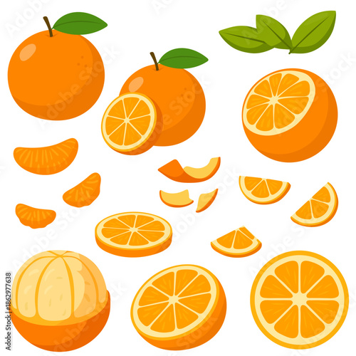 simple flat orange clipart vector set