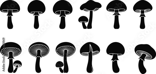 Black mushroom silhouette icon set showing various forest fungi shapes for nature botanical food illustration and graphic design use