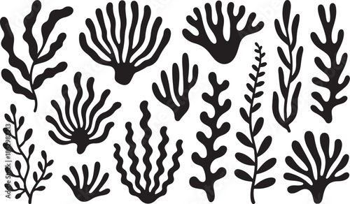 A collection of black silhouettes of various seaweed plants