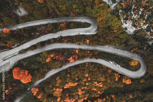 Aerial view of a winding road cutting through a vibrant tapestry of autumn foliage, where the cool gray asphalt contrasts with the warm hues of the trees, Subiaco, Lazio, Italy.