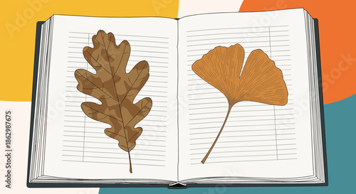 Open book with two pressed autumn leaves inside an oak leaf and a ginkgo leaf against a colorful abstract background.