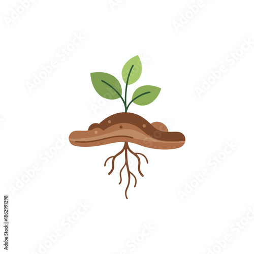 A green plant with three leaves sprouting from brown soil with root structure below