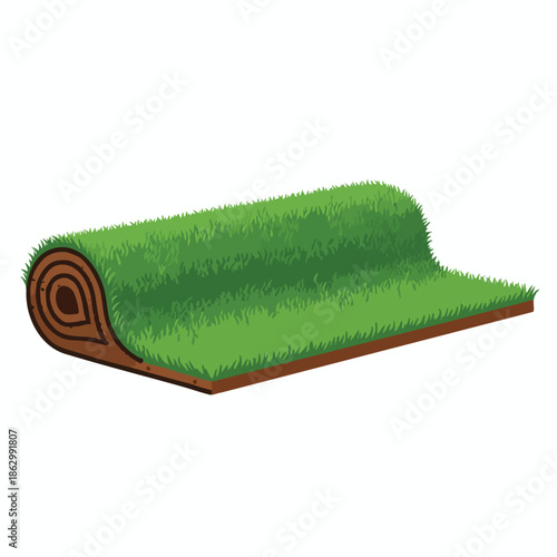 A rolled-up section of fresh sod on a white background, ready for laying