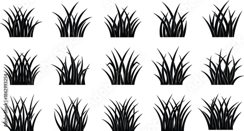 Black grass silhouettes collection, wild lawn plants set, natural meadow foliage botanical vector illustration elements isolated on white background designBlack 
