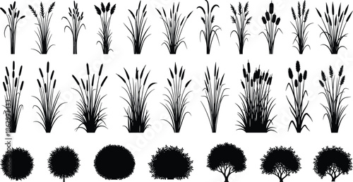 Black plant silhouettes collection, grass reeds bushes and trees set for landscaping design, botanical nature vector illustration isolated on white background