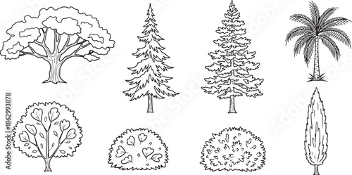 A diverse array of detailed tree illustrations in elegant monochrome, capturing the essence of nature's beauty and biodiversity. 