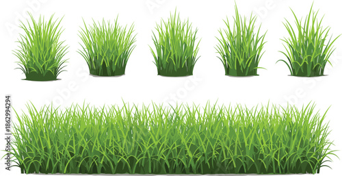 Green grass bushes and lawn border set, fresh meadow foliage landscaping elements, natural botanical vector illustration isolated on white background