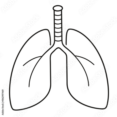 Respiration's Blueprint: A simple, elegant line art illustration of the human respiratory system, highlighting the essential structure and function of the lungs.