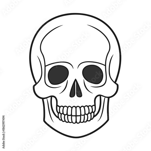 Skull Icon: A stark and intricate illustration of a human skull. It evokes thoughts of mortality and the ephemeral nature of life.