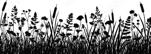 Wild meadow grass silhouettes border, black floral plants reeds and flowers, nature landscape botanical vector illustration isolated on white background