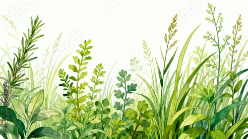 Watercolor painting of diverse green plants