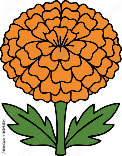 Simple Orange Marigold Flower Illustration on White