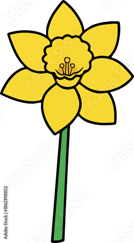Isolated cartoon illustration of a bright yellow daffodil flower.