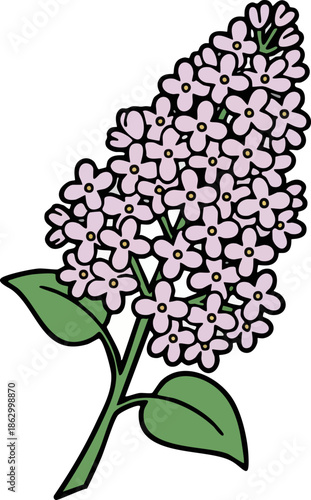 Lilac flower sprig vector illustration isolated on white.