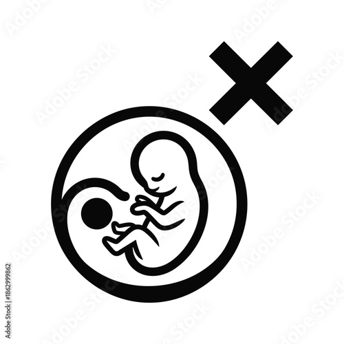 Fetus Abortion Termination Pregnancy