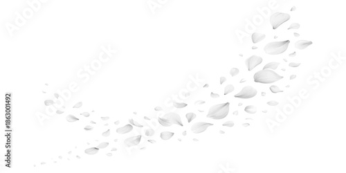 Abstract music background vector design with blue liquid wave splash and snowflake decoration. Falling rose petals with soft shadows