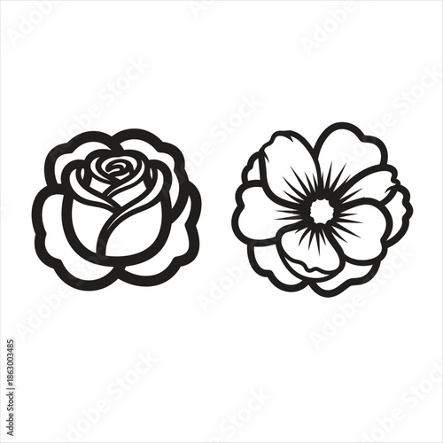 Black and White Line Art of Rose and Hibiscus Flowers.