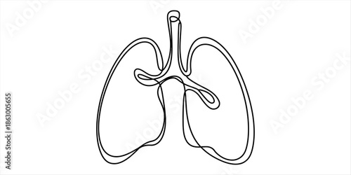 A minimalist continuous line drawing depicting the structure of human lungs Vector, illustration