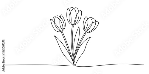 Minimalist continuous line art drawing of a bouquet of three elegant tulips Vector, illustration