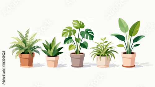 Five potted plants in a row