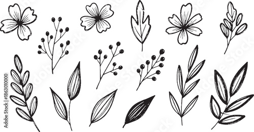 Hand Drawn Botanical Elements and Floral Illustrations.