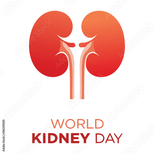 World Kidney Day Medical Illustration with Human Kidney Organ Vector