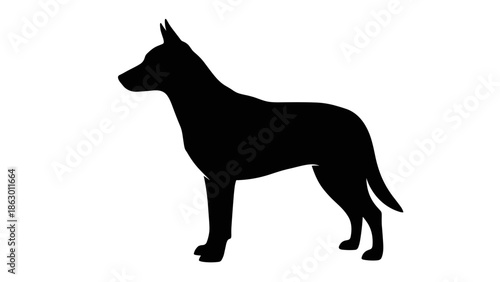 Silhouette of a Standing Doberman Pinscher Dog.
