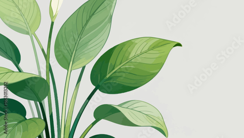 Illustration of green leafy plant
