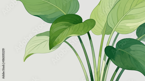 Illustration of green leafy plant