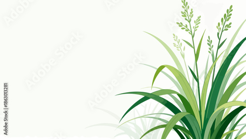 Illustration of green grass and plants