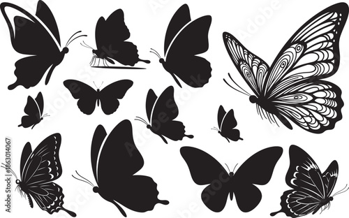 Silhouette of various butterfly species isolated on transparent background
