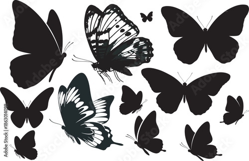 Butterfly silhouettes isolated on transparent background black and white butterfly images