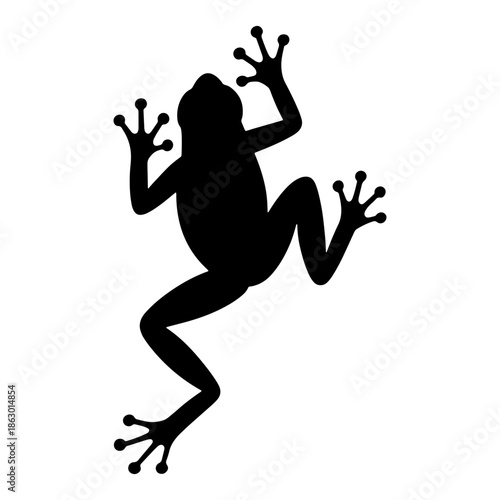 Detailed climbing frog vector silhouette