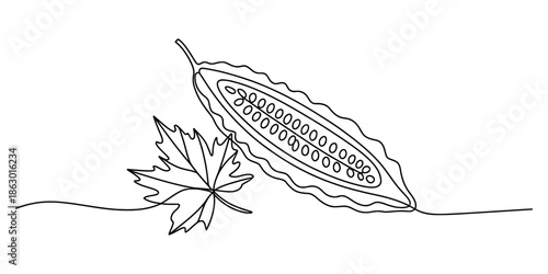 Bitter melon and maple leaf illustration in line art style Vector, illustration
