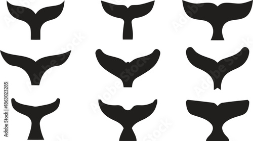 Set of whale tail silhouettes icon vector illustration