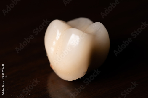 a single fallen tooth up close on black