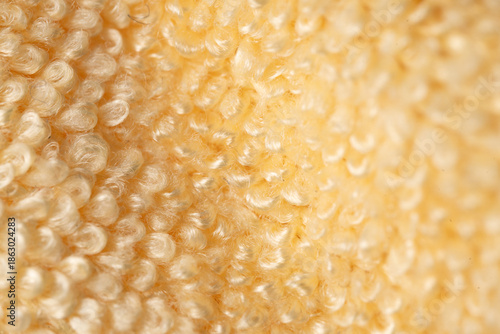 close up of orange peel texture