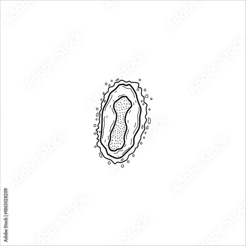 bacterial structure hand drawn illustration artwork