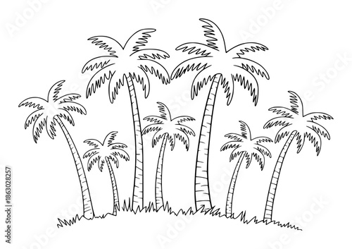 Whimsical black and white of a tropical palm tree grove with wavy fronds and textured trunks nature