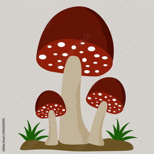 vector illustration of mushroom