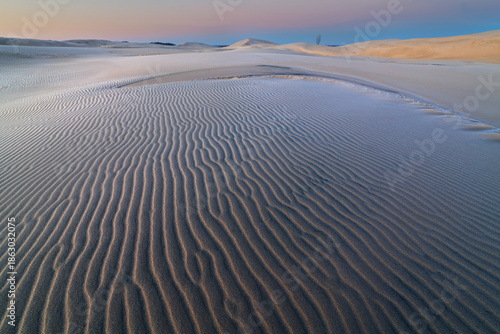 Winter landscape at dawn of the Silver Lake Sand Dunes, Silver Lake State Park, Michigan, USA