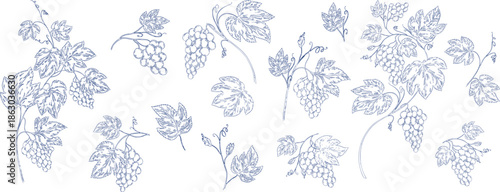 Seamless clipart of grapevine branches, leaves, and grape clusters. Elegant botanical line art perfect for wine labels, packaging, invitations, backgrounds, and vineyard-themed designs.