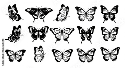 Modern butterfly vector collection with clean silhouette designs